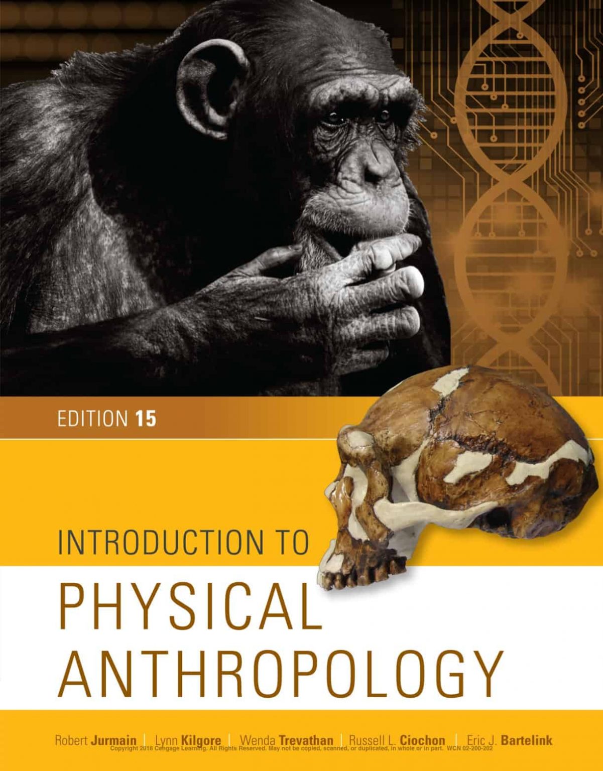 book review anthropology
